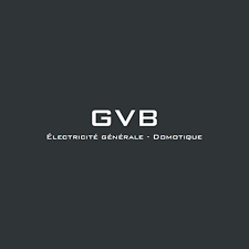 directrice operationnelle st-raphael - gvb